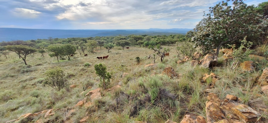 2 Bedroom Property for Sale in Koster North West